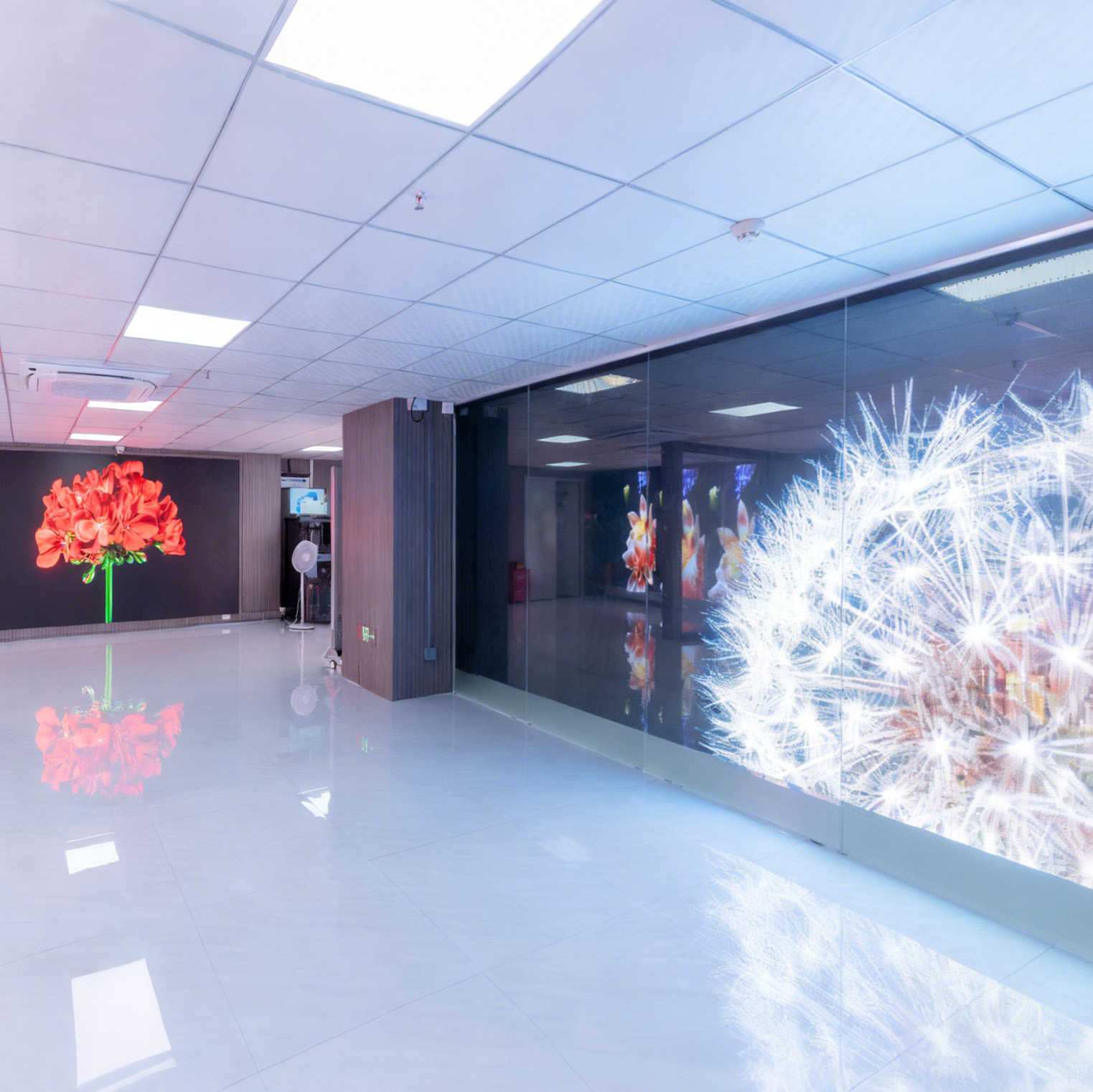 Showroom china banner4