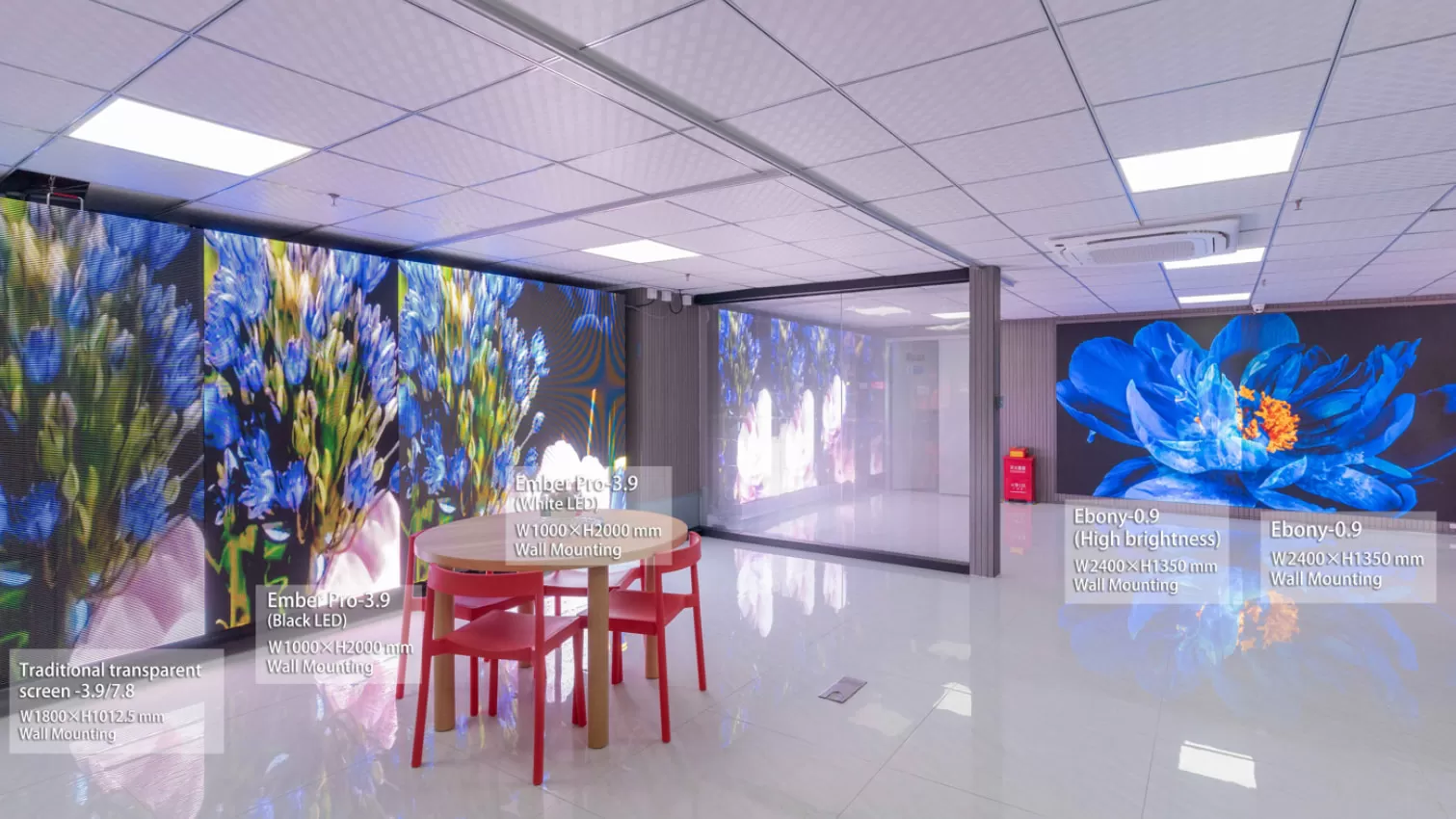 Showroom d3