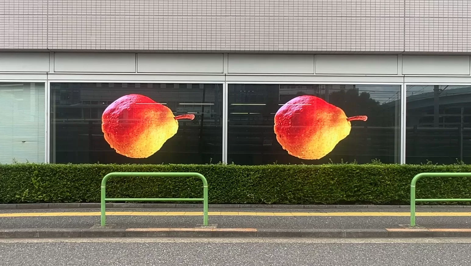 Riddle 对比拍摄 (3)