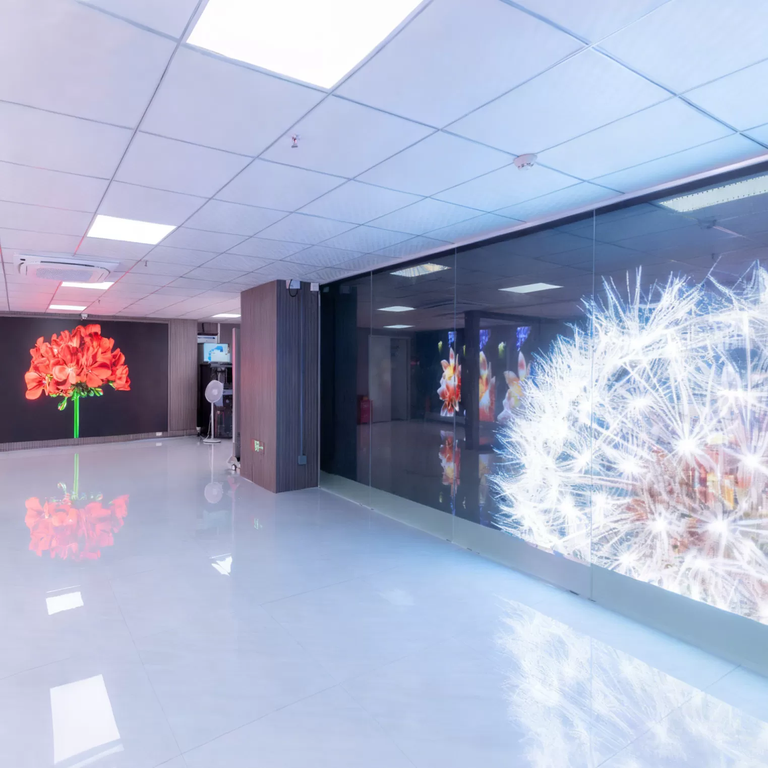 Showroom china banner4