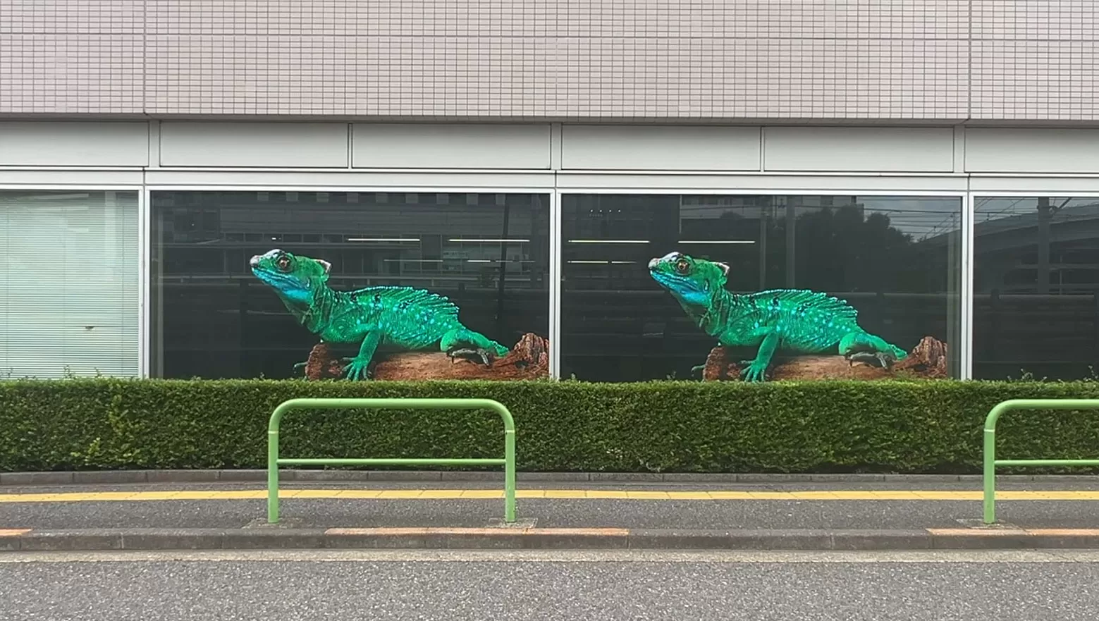 Riddle 对比拍摄 (4)